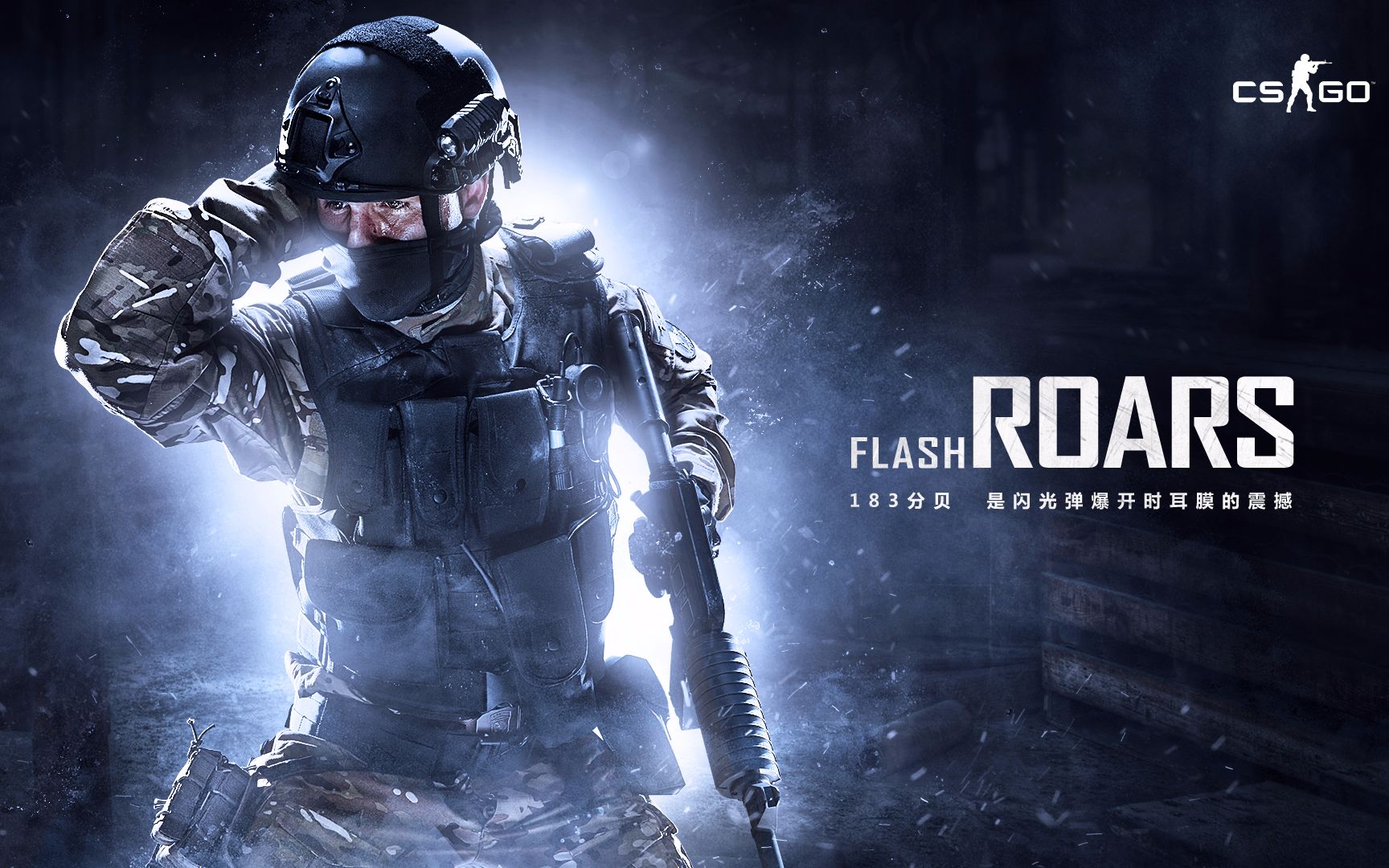 在荷兰的客 在荷兰的客