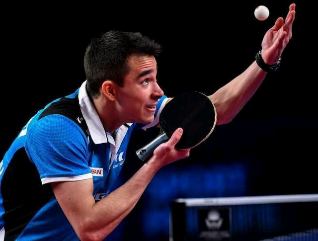 掩盖霍伊伦 掩盖霍伊伦